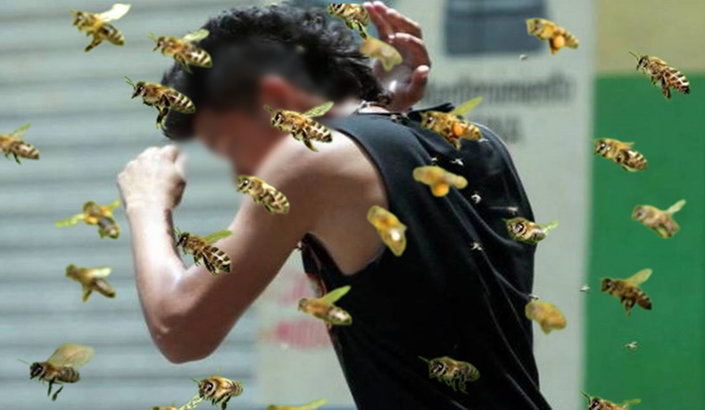 Ataque de abejas