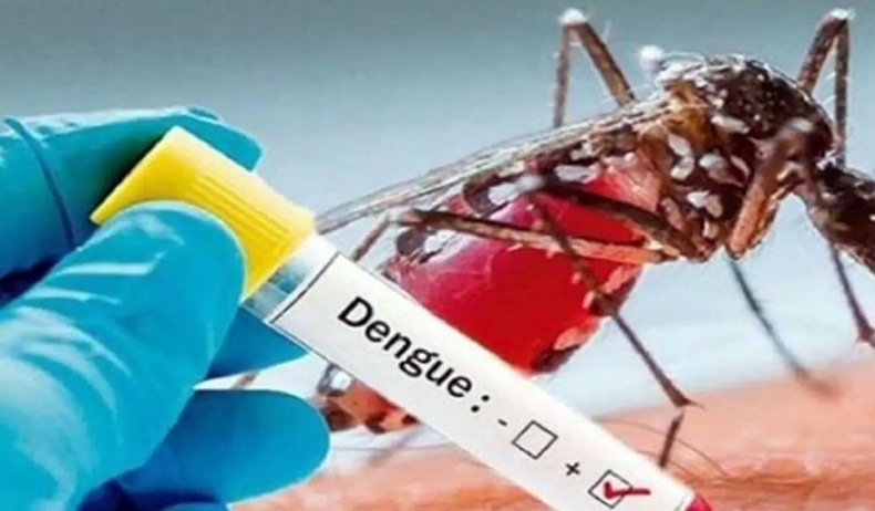 enfermos dengue